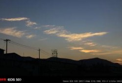 晚秋在线观看,在线重温秋日恋曲