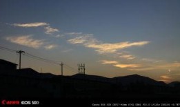 晚秋在线观看,在线重温秋日恋曲