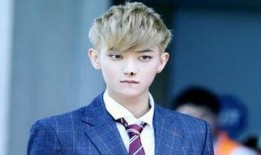 爆料鹿晗张艺兴视频在线观看,在线观看引发热议！