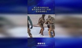 俄国间谍爆料视频播放网站,揭秘俄国间谍视频播放网站内幕