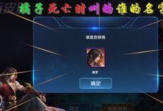 大盗皮肤最新爆料,神秘面纱揭开，暗黑美学引领潮流