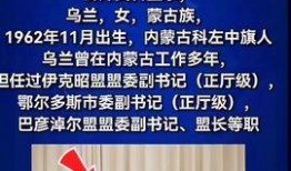 突发热点新闻爆料案例,揭秘事件背后真相