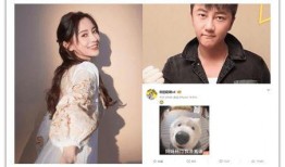 助理爆料杨颖视频,助理爆料背后的惊人真相