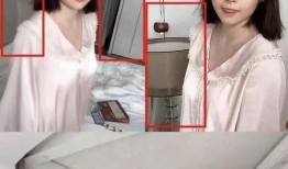 成都女房东最新爆料新闻,揭露租房行业惊人内幕