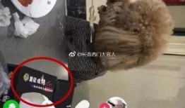 二狗最近怎么不爆料了视频,揭秘近期沉默背后的真相