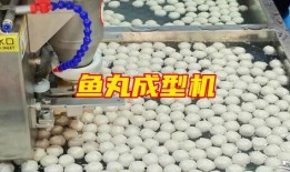 鱼丸加工厂爆料视频大全,独家爆料视频大全深度解析