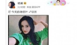 网友八卦吃瓜视频大全免费观看,免费观看大揭秘！