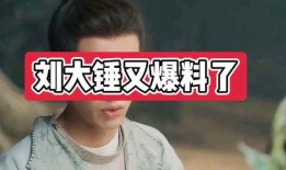 刘大锤四次爆料视频,事件背后真相全解析