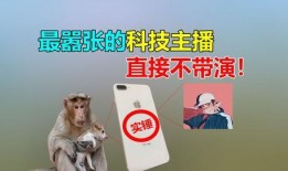 二狗最近怎么不爆料了视频,揭秘近期沉默背后的真相