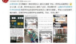 赣州学生爆料新闻,校园事件引发社会关注