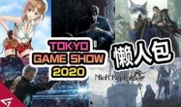 原神爆料的人是谁啊视频,揭秘视频背后的神秘力量