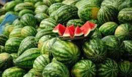 免费网站吃瓜,揭秘免费网站“吃瓜”背后的秘密与乐趣