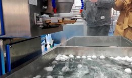 鱼丸加工厂爆料视频大全,独家爆料视频大全深度解析