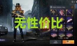 新军需最新皮肤爆料,炫酷设计，等你来战！