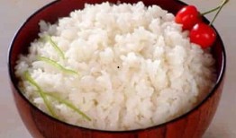 饭米粒在线观看,美食之旅，尽享舌尖上的中国