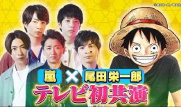 尾田最新爆料在线观看,海贼王世界新篇章即将开启！
