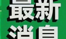 突发热点新闻爆料案例,揭秘事件背后真相