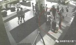 惊天大案爆料视频大全播放,视频大全播放背后的震撼真相