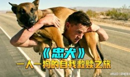 狗狗电影在线观看,温馨陪伴，在线共赏