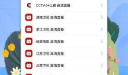 外网爆料正泰视频大全,揭秘热门组合的精彩瞬间