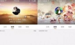 娱乐每日爆料账号