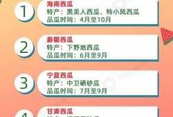朝堂吃瓜全文免费阅读,宫廷秘闻大揭秘