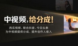 深圳抖音新闻爆料电话,守护城市安全，共建和谐社区