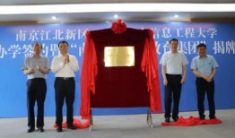 鹏飞集团爆料最新消息今天,最新动态揭秘，行业巨变即将来临！”