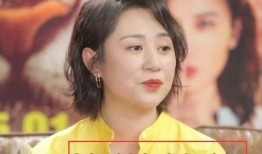 马丽娱乐爆料事件视频,揭秘娱乐圈背后真相