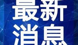 爆料江南买菜视频大全最新,揭秘明星日常生活中的温馨瞬间