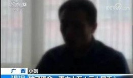 赌注在线观看,揭秘网络赌场背后的惊心动魄