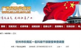 广西水电最新爆料新闻,揭秘水电项目新进展与争议焦点