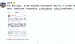 汪小菲爆料清单视频,揭秘娱乐圈背后的真相