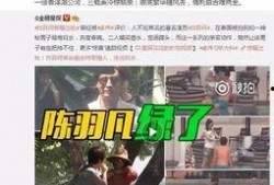 爆料蔡天凤主播视频下载,揭秘网络红人魅力瞬间