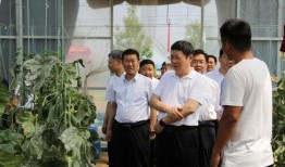 五五开爆料身世视频,揭秘电竞一哥背后的家族传奇