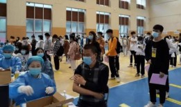 陨星爆料最新消息新闻报道,最新新闻报道揭秘神秘事件