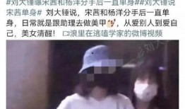 大锤爆料杨洋视频在线观看,杨洋视频幕后真相，在线观看带你一探究竟