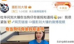 刘大锤最新爆料直播大鹏,大鹏幕后故事大曝光