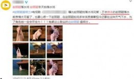 替身演员爆料视频播放,揭秘影视行业幕后黑幕