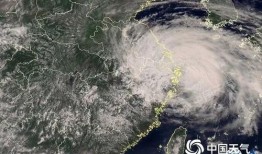 台风大爆料宁波视频,宁波直面狂风暴雨，市民齐心协力抗灾纪实