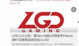 lgd最新爆料,揭秘电竞圈幕后真相与精彩瞬间