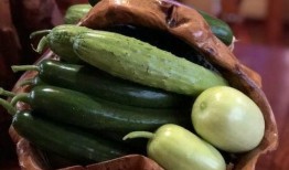 韩城吃瓜网红,揭秘网红背后的故事