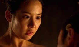 后宫之妾在线观看,宫廷权谋与爱恨情仇的纠葛