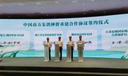 盐城旅行社爆料事件最新,揭秘旅游行业潜规则与消费者权益受损真相