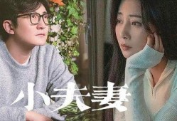 夫妻网红被爆料视频播放,揭秘幕后真相
