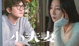 夫妻网红被爆料视频播放,揭秘幕后真相