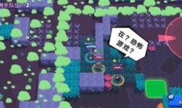 荒野乱斗宝箱最新爆料,神秘奖励等你来拿！