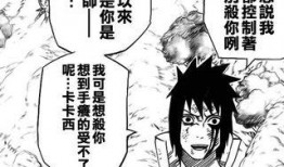 卡卡西最新爆料,最新爆料揭示神秘事件背后真相