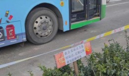 石家庄爆料拥堵最新消息,高峰时段交通状况一览