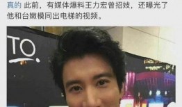 台媒爆料王力宏视频,真相究竟如何？
